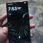 imgi_23_588022556-800×600-1