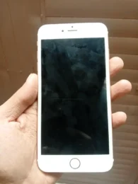 imgi_39_587722936-800×600-1