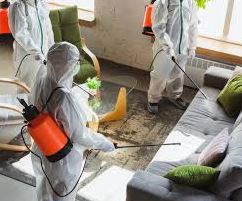 One-Roof-Fumigation-Services