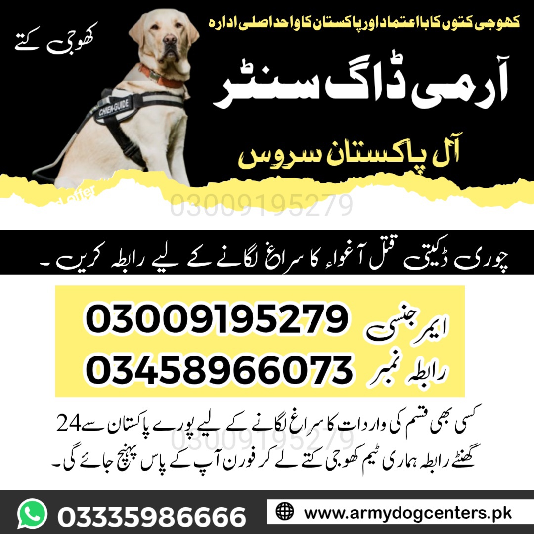 Army dog center 03458966073