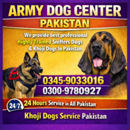 file_00000000e5c47209a064a88f35a8b00b